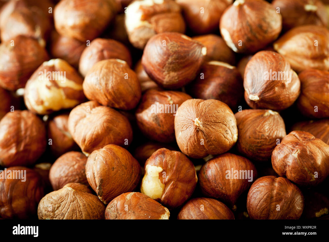 Ernte von ein Bündel von organischen Haselnüsse Stockfoto