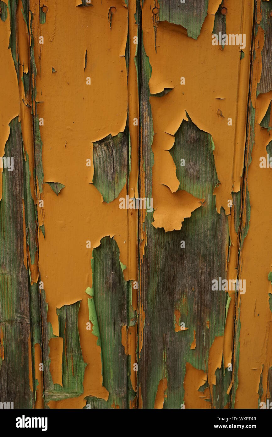 Nahaufnahme von abblätternde Farbe aus einer alten hölzernen Tür Stockfoto