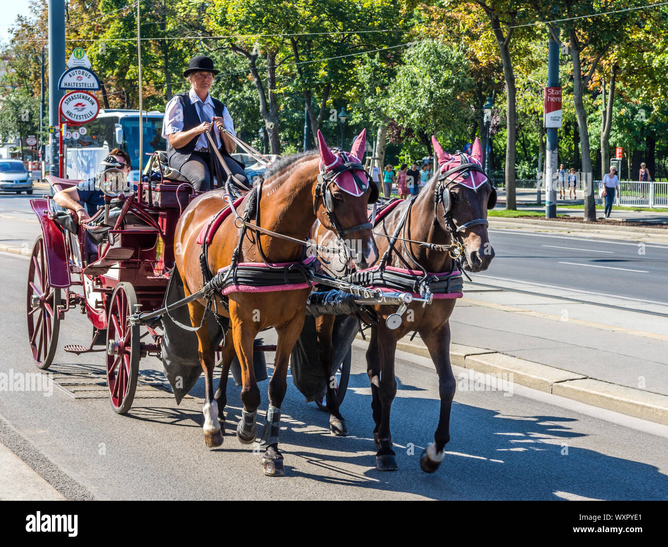 Pferdekutsche (FIAKER) Touristen rund um die Ringstraße Ring Road, Wien, Österreich. Stockfoto