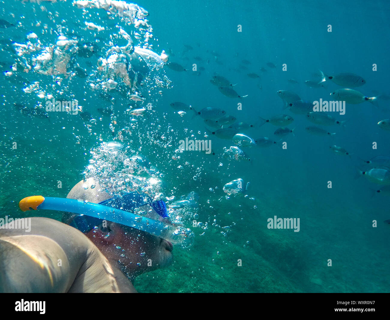 Ein Mensch, der unter dem Wasser mit Blasen und viel Fisch Schnorcheln Stockfoto