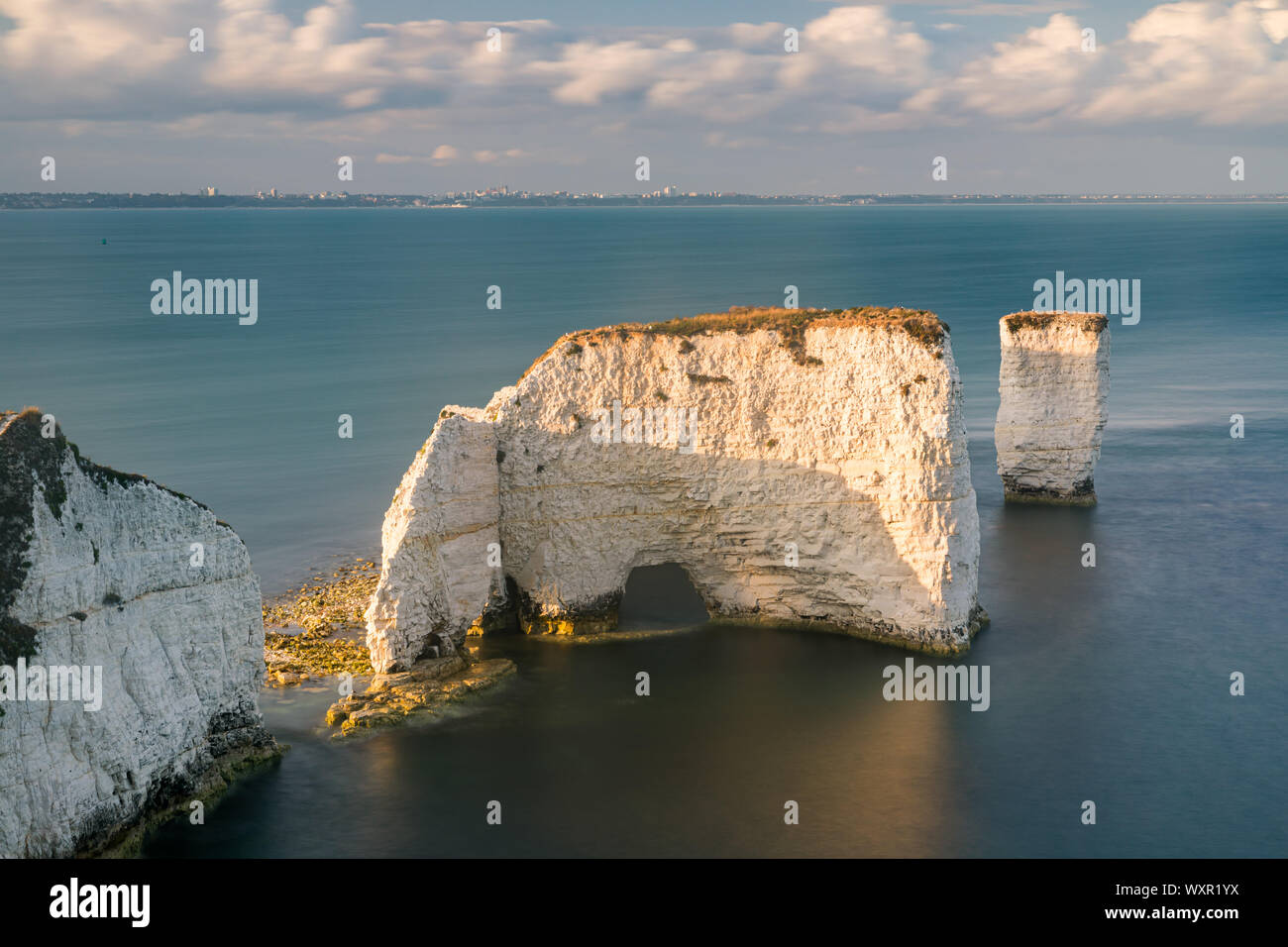 Old Harry Rocks sind drei Chalk Formationen, darunter ein Stapel und einem Baumstumpf, gelegen an Handfast Punkt, auf der Isle of Purbeck in der Grafschaft Dorset, südlichen Engla Stockfoto