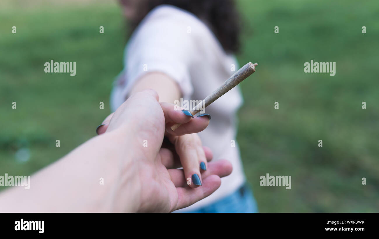 Nahaufnahme der weibliche Hände, die Marihuana, Cannabis stumpf im Freien. Cannabis ist ein Konzept der Kräutermedizin Stockfoto
