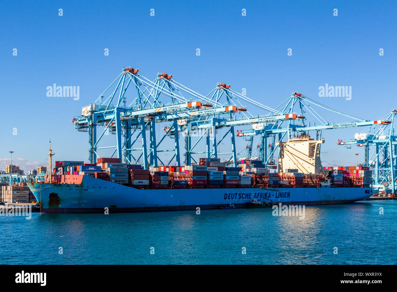 Eine Nahaufnahme Bild eines großen Containerschiff von Kranen mit blauer Himmel in den Hafen von Algeciras angedockt geladen wird, Spanien Stockfoto