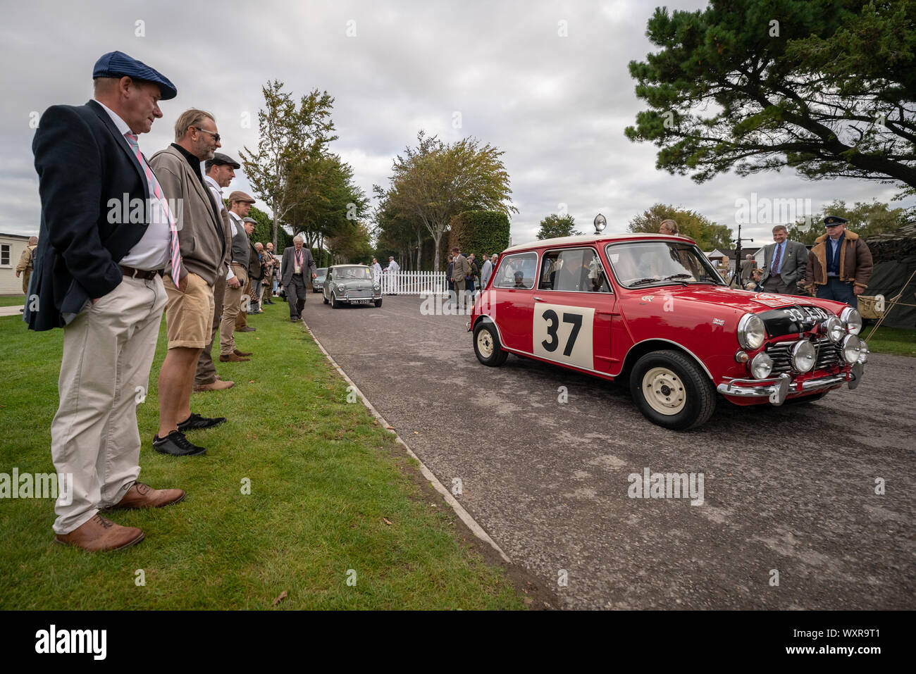 Vintage Mini Coopers auf dem Display während Goodwood Revival, Großbritanniens größte jährliche Oldtimertreffen, UK. Stockfoto