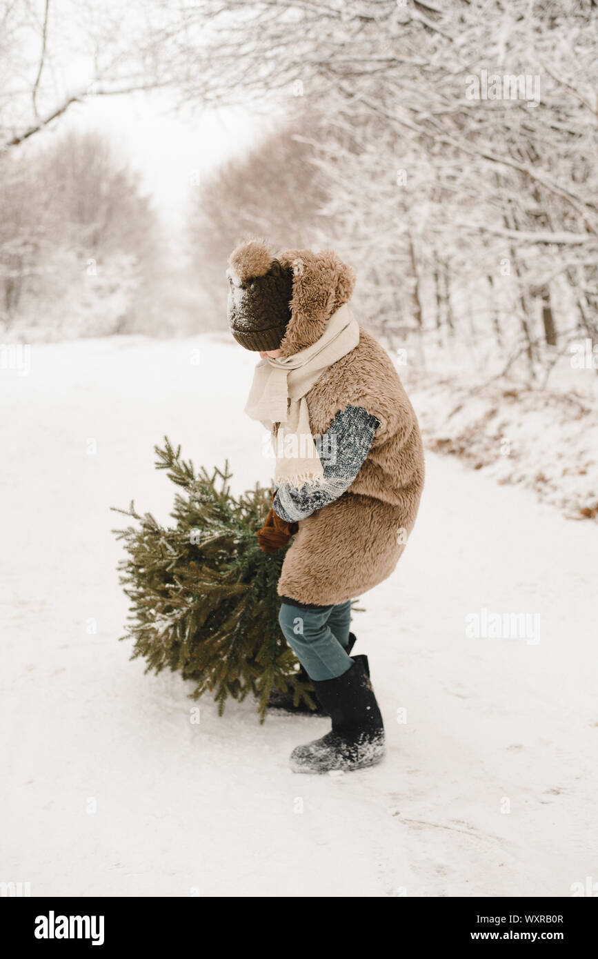 Ein kleiner Junge trägt einen Weihnachtsbaum in einem Elf Kostüm in einem  verschneiten Wald. Ein Zwerg in einem pelzmantel ist ein Baum Ziehen  entlang einer verschneiten Straße Stockfotografie - Alamy