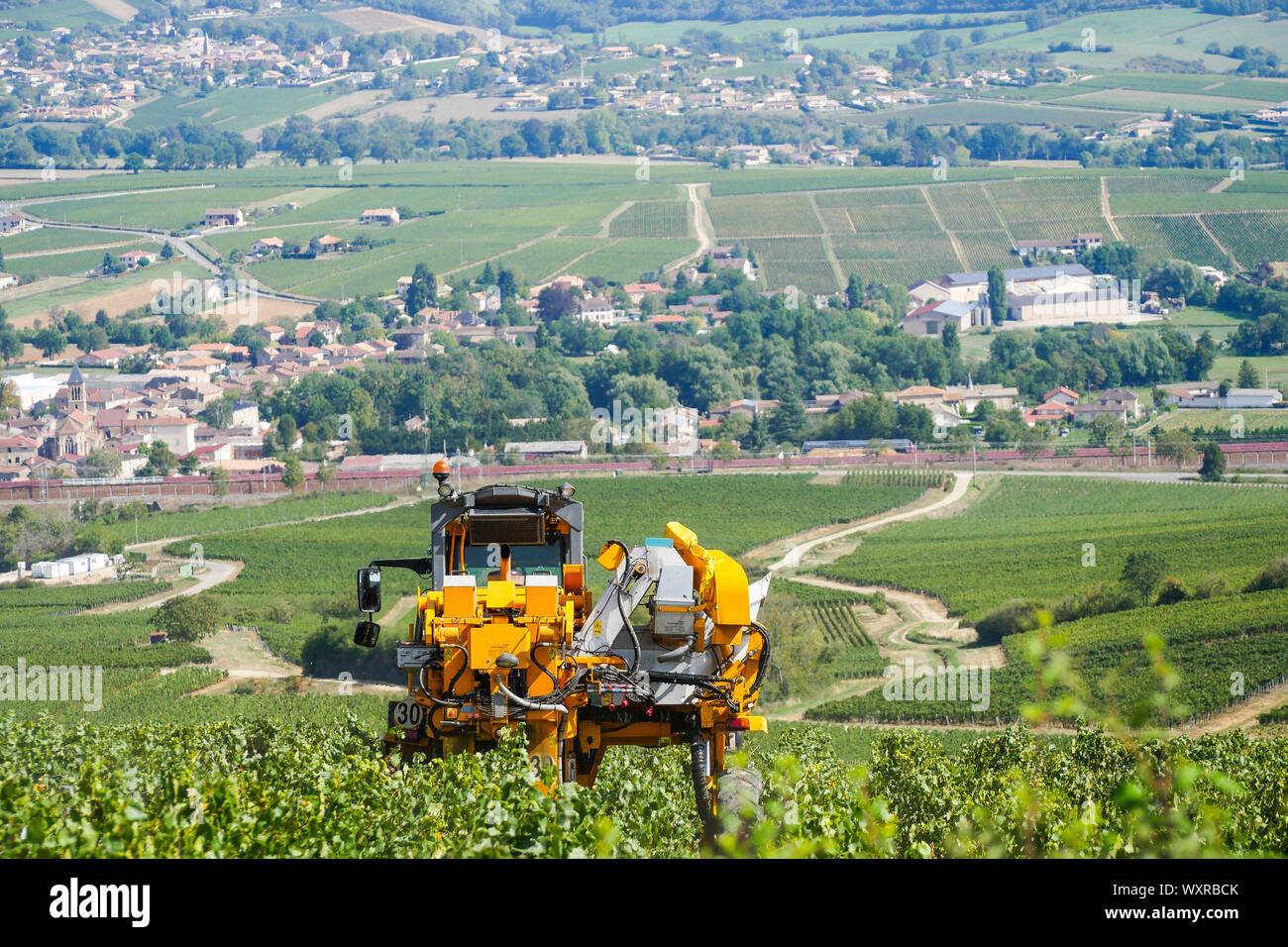 Ein Weinbau Maschine bei der Arbeit in Solutré-Pouilly Weinberg, Burgund, Saône-et-Loire, Bourgogne-Franche-Comté Region, Frankreich Stockfoto