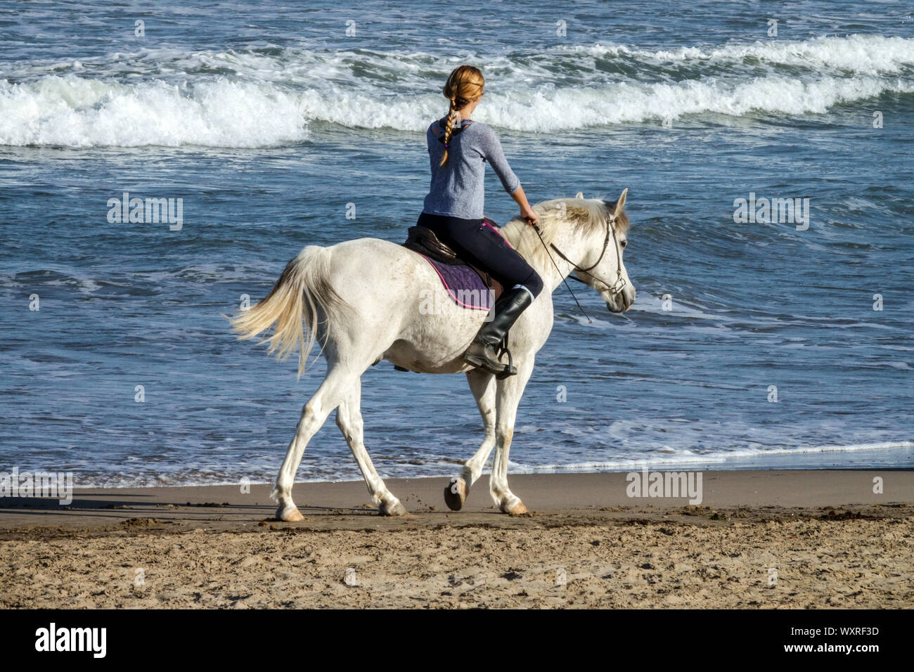 Frau, die am Strand auf einem weißen Pferd reitet Stockfoto