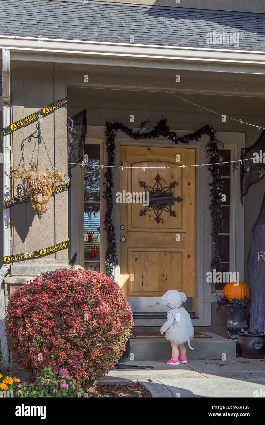 Brave Maus Süßes oder Saures Stockfoto