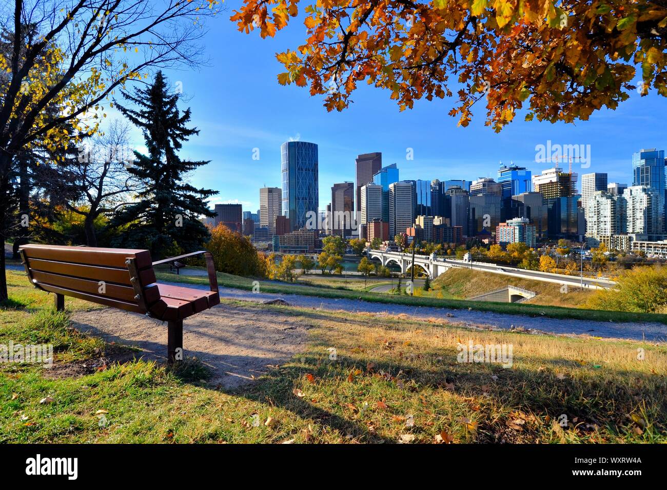Blick von einem Park mit Blick auf die Skyline von Calgary, Alberta im Herbst Stockfoto