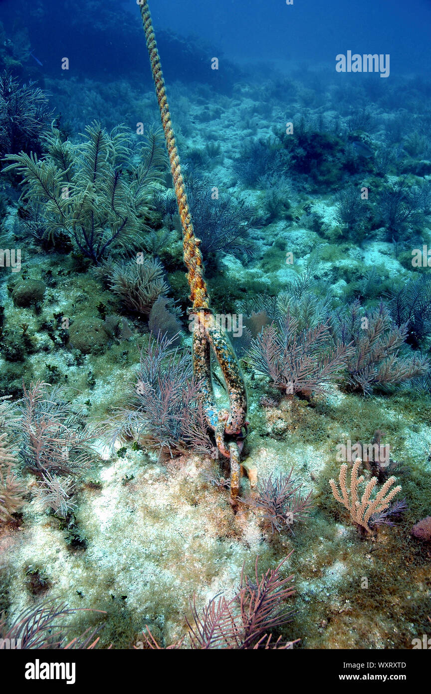 Mooring zu Coral Reef verankert, Florida Keys National Marine Sanctuary. Nutzung von permanenten Bojen verhindert Schäden an der Coral Reef verankern. Stockfoto