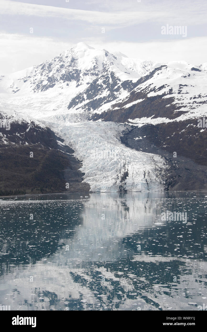 Zurückfliehend Wellesley Gletscher, Mai, 2007, College Fjord, Prince William Sound, Alaska Stockfoto