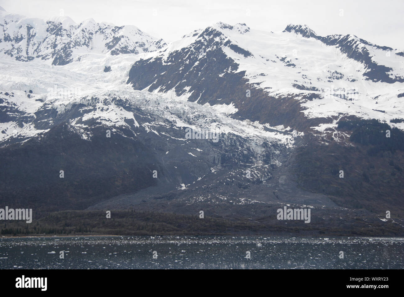 Zurückfliehend Gletscher, Mai, 2007, College Fjord, Prince William Sound, Alaska Stockfoto
