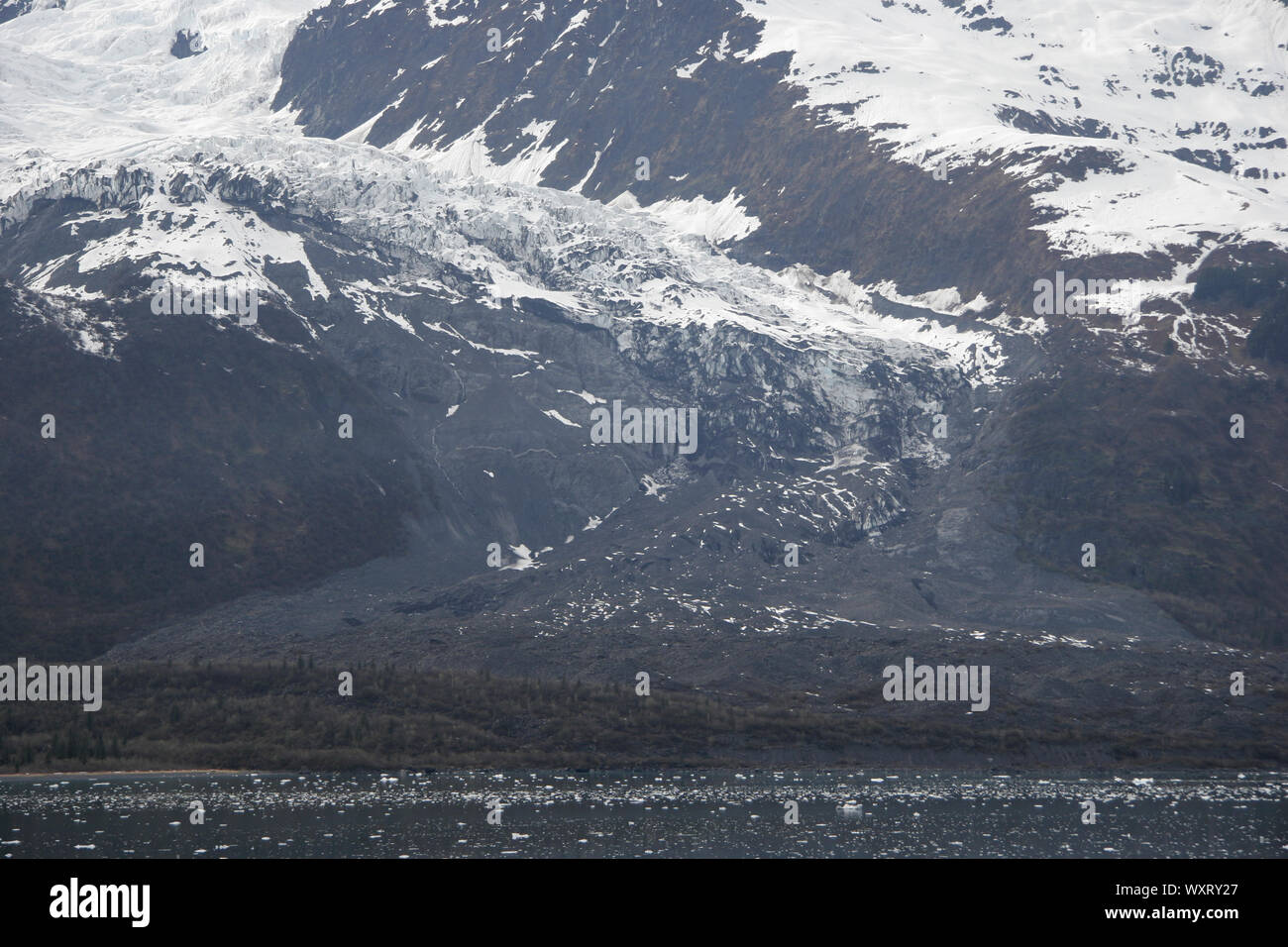 Zurückfliehend Gletscher, Mai, 2007, College Fjord, Prince William Sound, Alaska Stockfoto