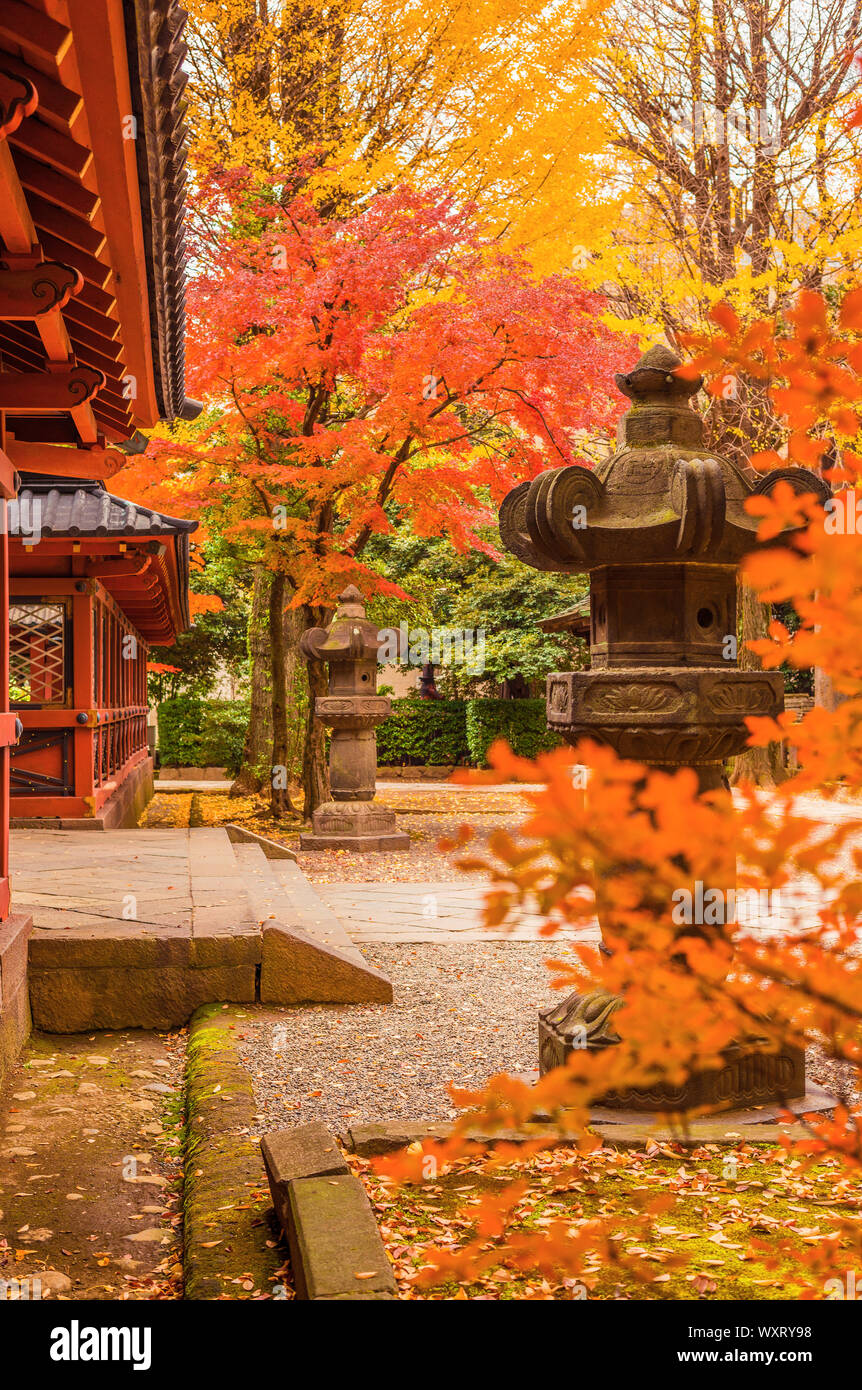 Farben des Herbstes und Laub in Nezu Schrein Gärten, eine der ältesten Shinto tempel in Tokio Stockfoto