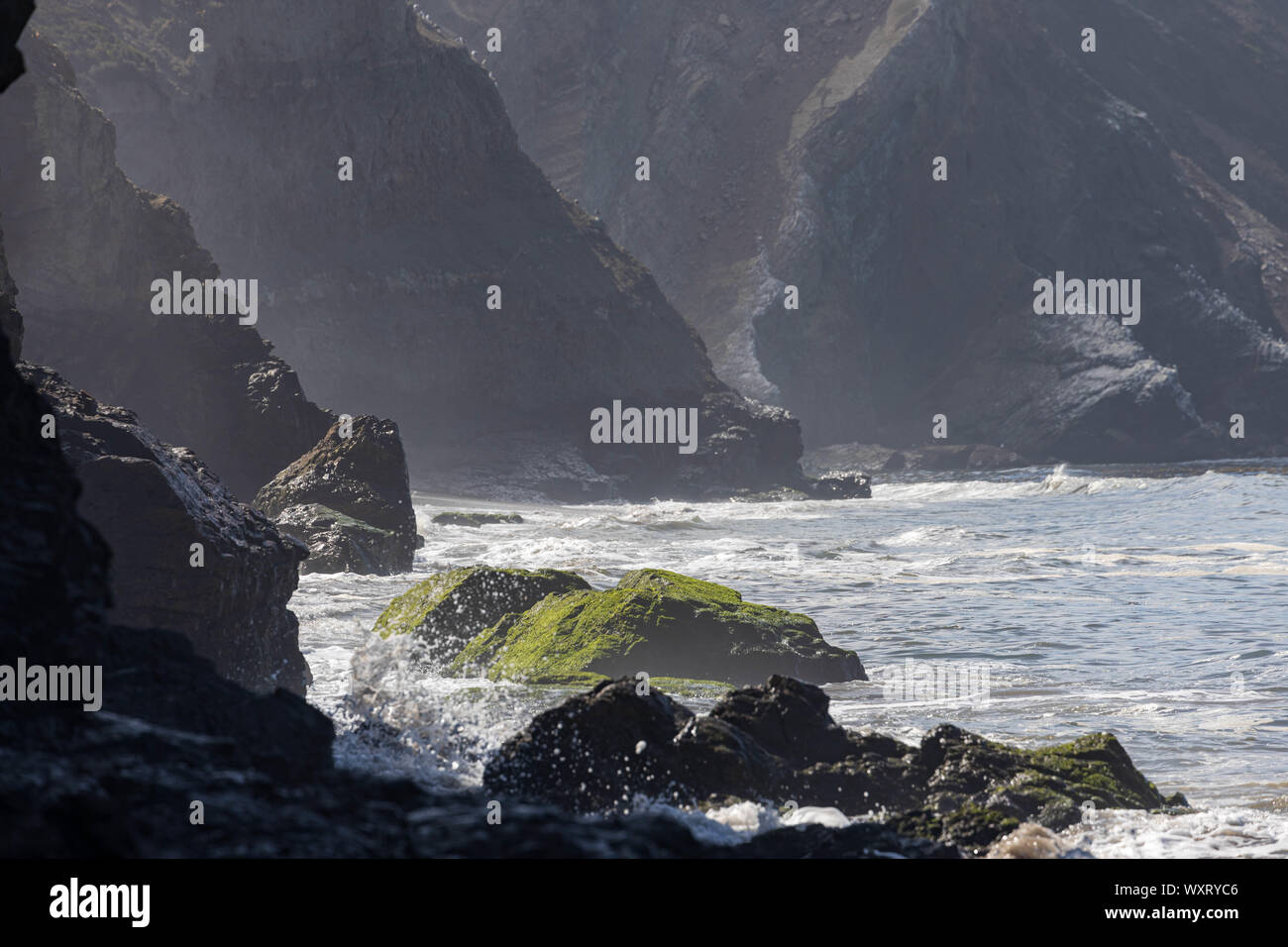 Schroffe Klippen weiß mit Guano Linie kleine Bucht an der nördlichen Küste von Kalifornien Stockfoto