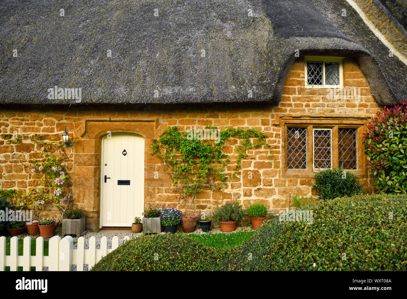 Historische reetgedeckte Ferienhaus in großen Tew Dorf mit geformten Hecken am Tor und Topfpflanzen an gelben Cotswold stone wall Oxfordshire Englan Stockfoto
