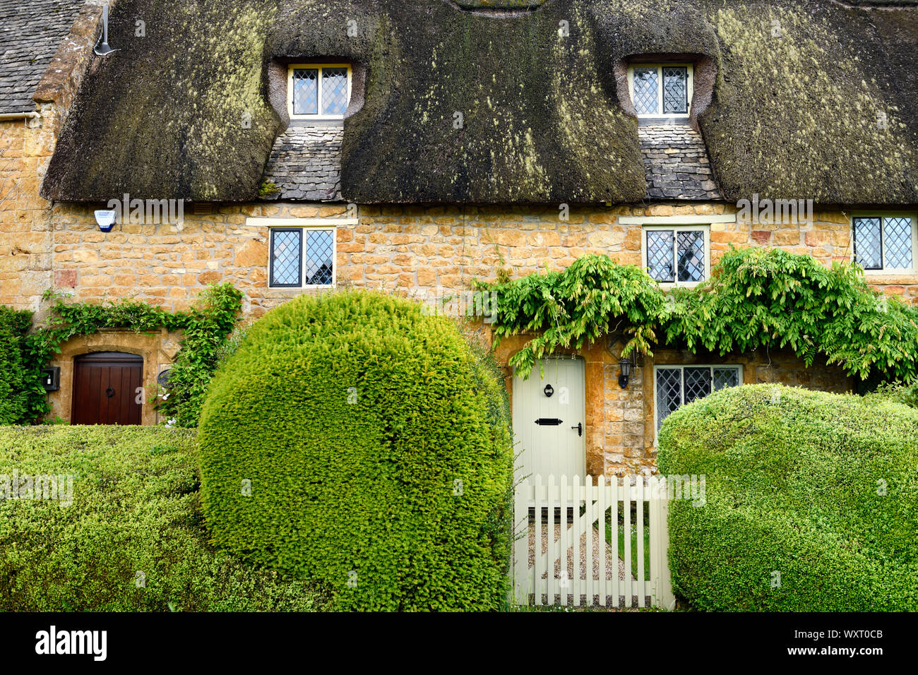 Historische reetgedeckte Ferienhaus in großen Tew Dorf mit geformten Hecken am Tor und gelb Cotswold stone Oxfordshire England Stockfoto