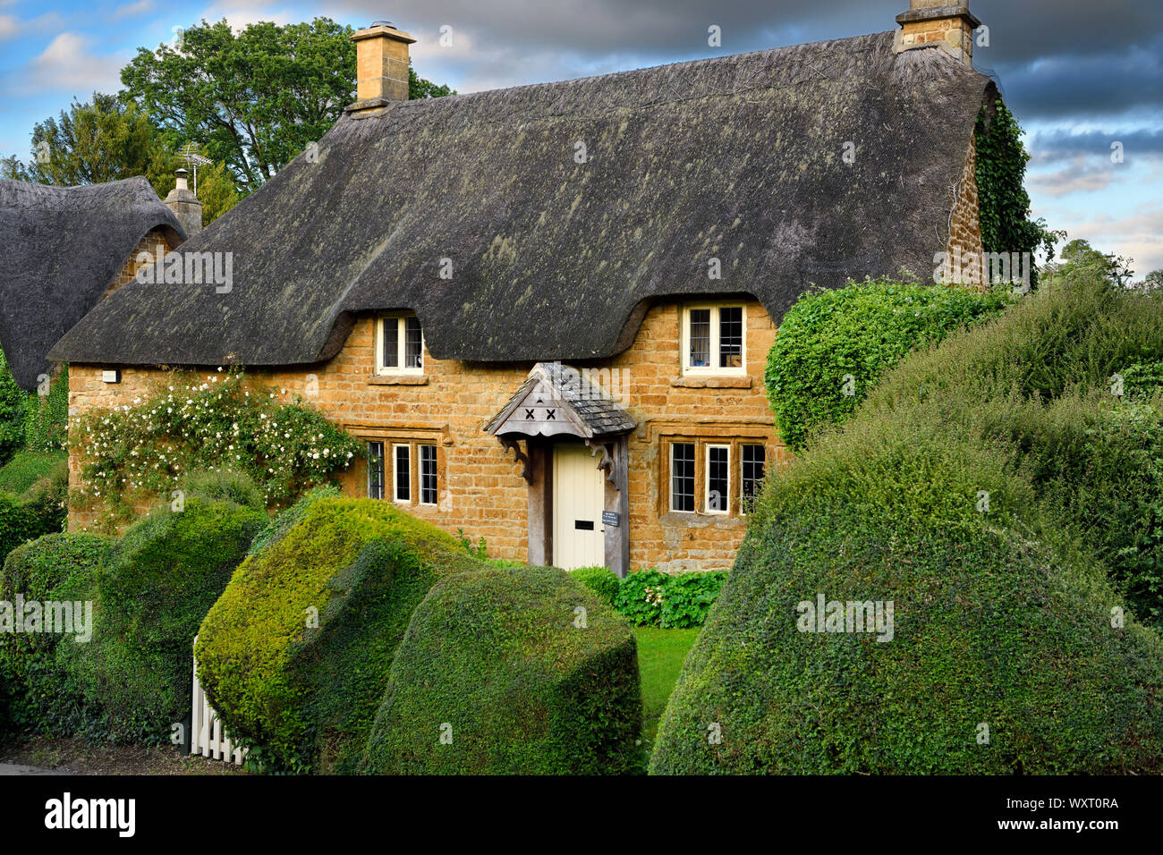 Historisches Reetdachhaus in großer Tew Dorf mit Hecken und gelbe Cotswold stone Oxfordshire England Stockfoto