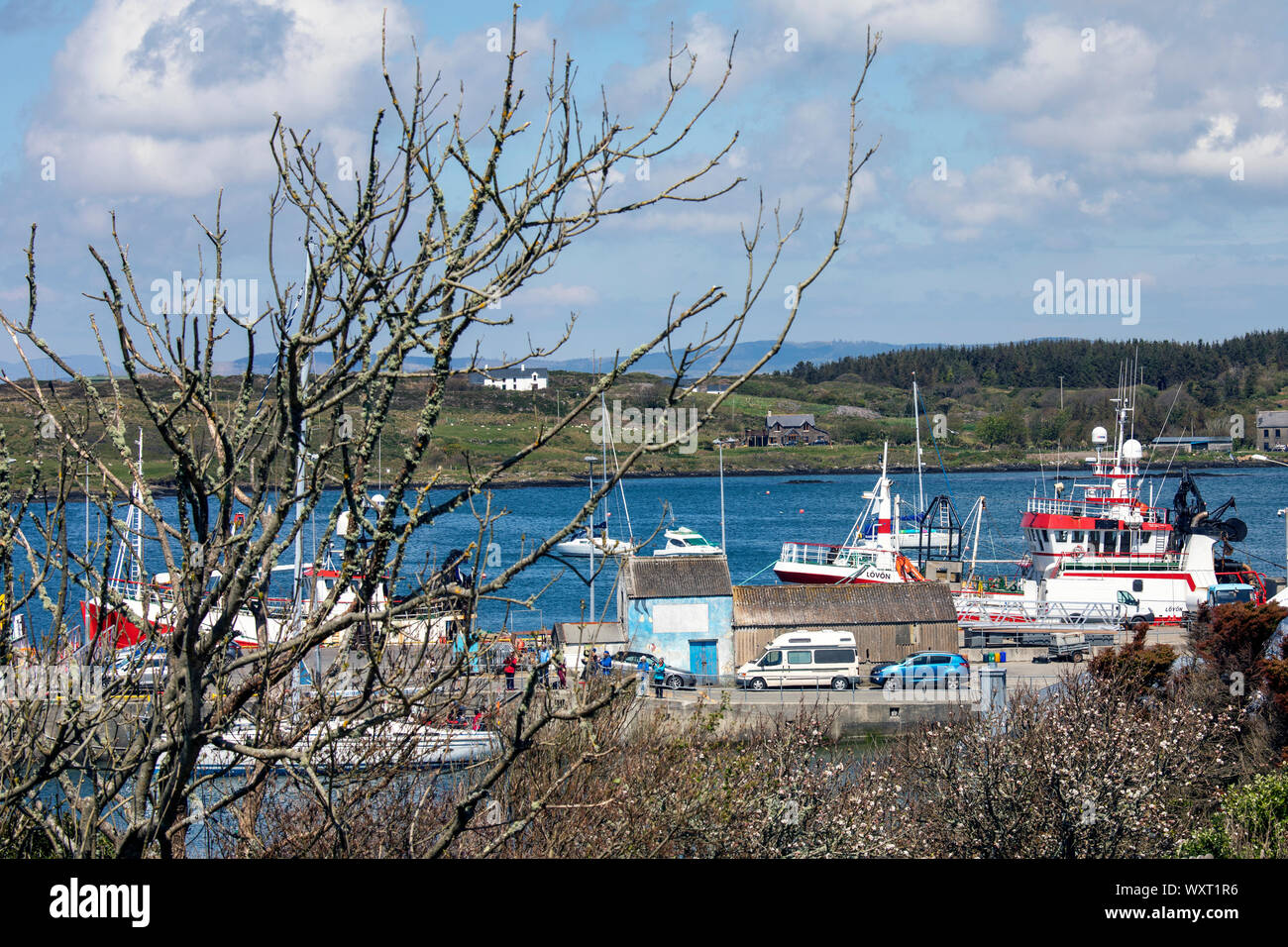 Hafen von Baltimore West Cork Irland Stockfoto