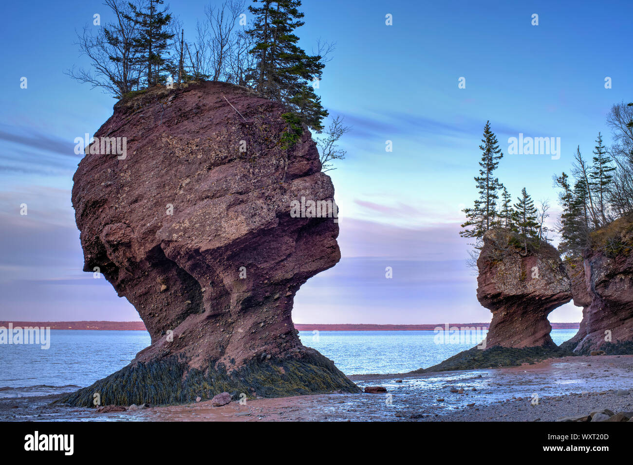 Blumentöpfe, Hopewell Rocks, New Brunswick, Kanada Stockfoto