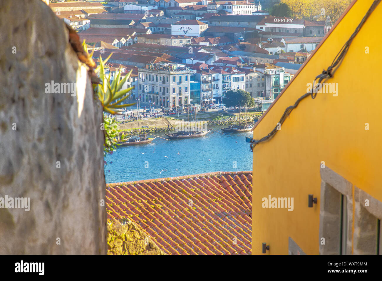Porto, Portugal-June 19, 2019: Schöne und farbenprächtige Porto Straßen in der Nähe von Rio Douro Stockfoto