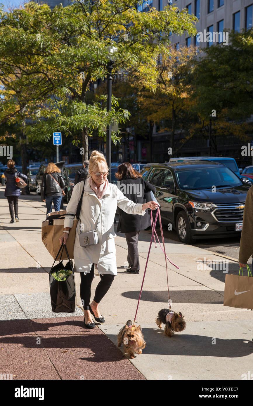 Stilvolle lokale Frau zu Fuß zwei Yorkshire Terrier Hunde an der Leine und Einkaufstüten in Newbury Street, Boston, USA Stockfoto