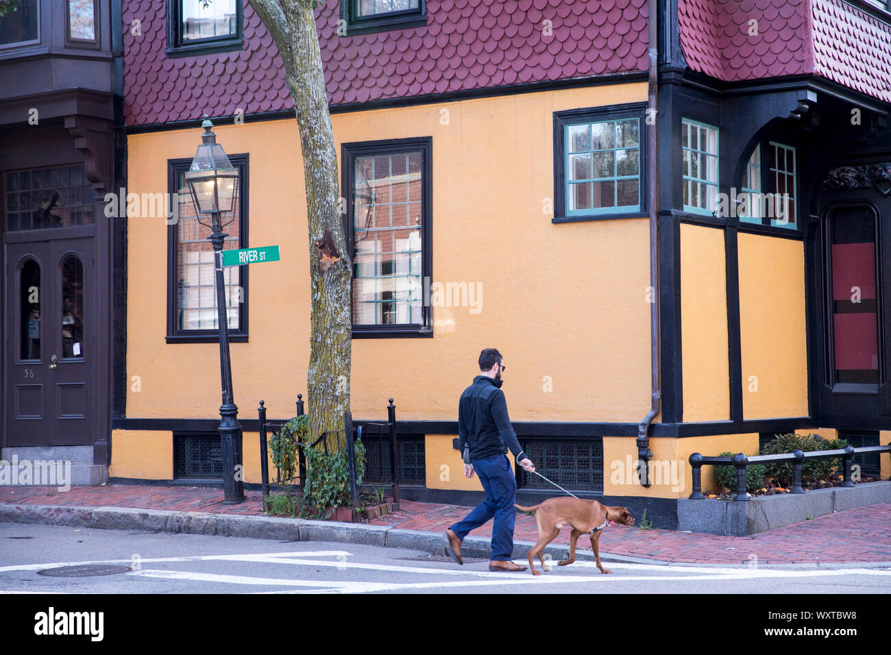 Mann, Hund in River Street im historischen Viertel von Boston, Massachusetts, USA Stockfoto