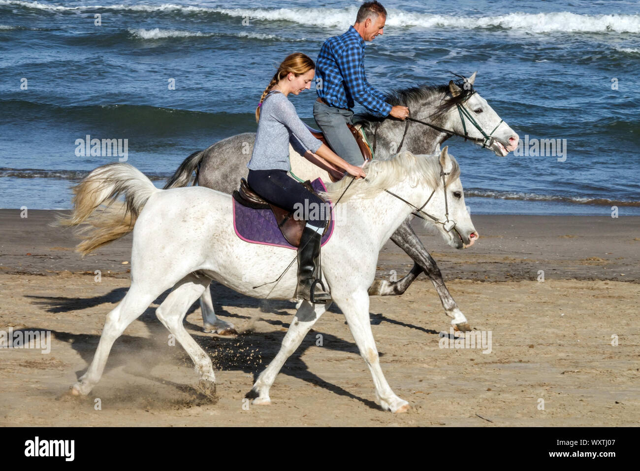 Reitpferde am Meer Paar Reitpferde am Strand, Mann und Frau Reiten Strandmenschen Spanien Costa Blanca Stockfoto