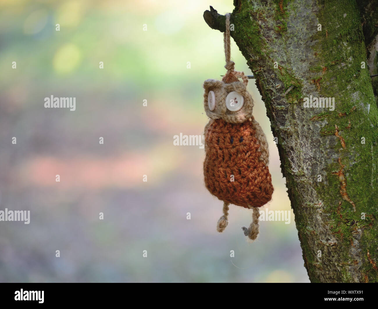 Hand gestrickte Eule hängend an einem Baum Stockfoto