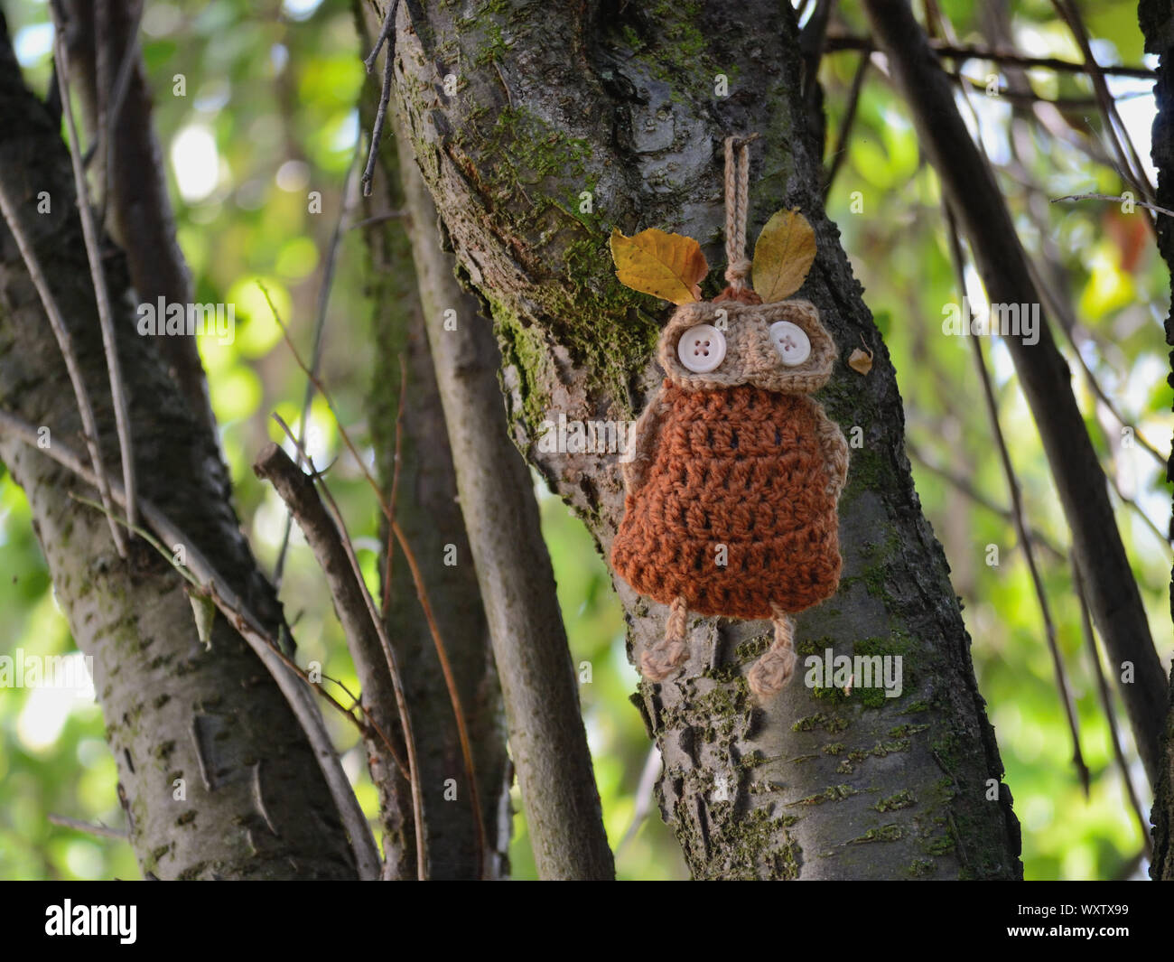 Hand gestrickte Eule hängend an einem Baum, Herbst Hintergrund Stockfoto