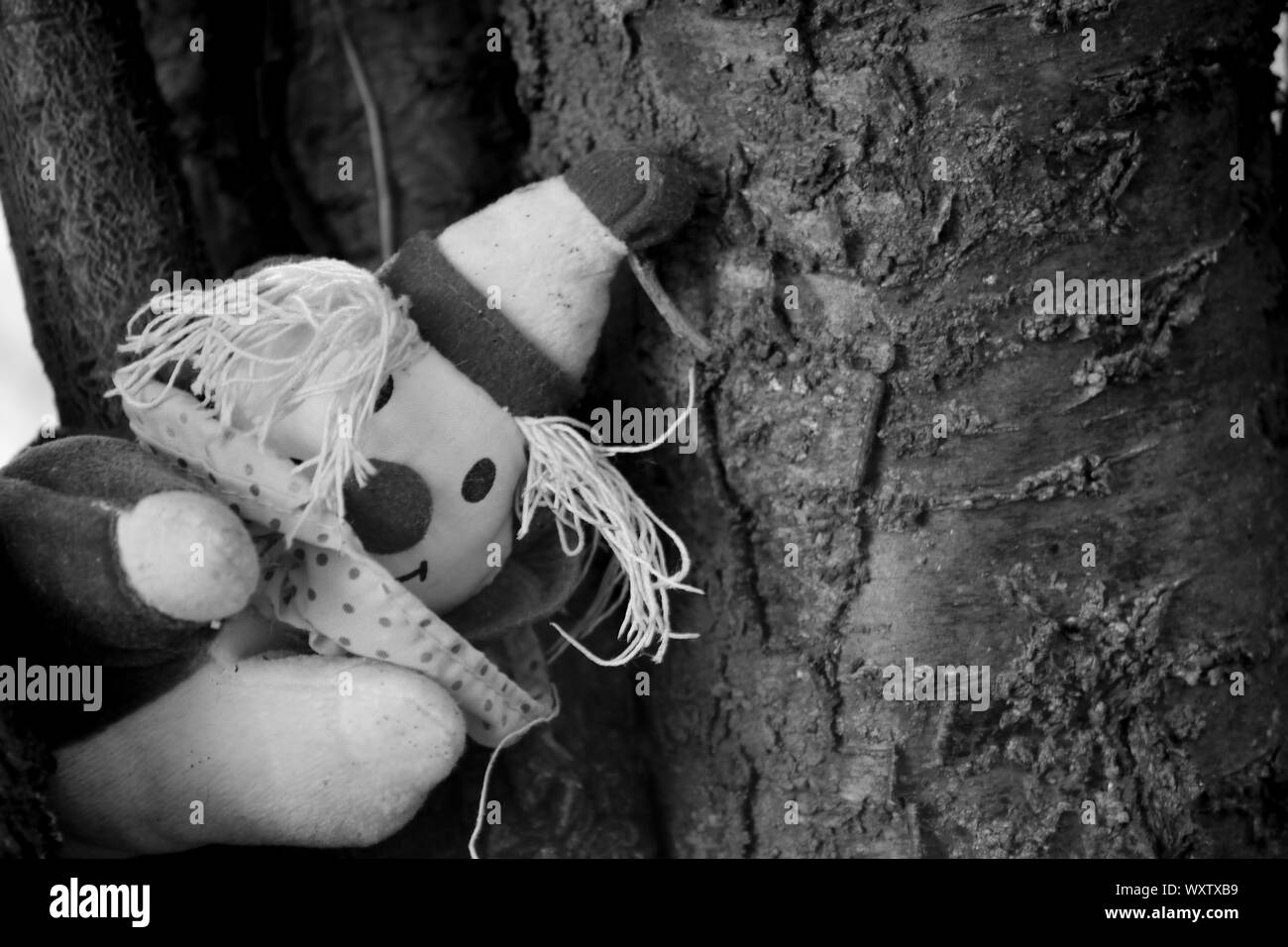 Gefüllte clown Spielzeug auf einem Baum Stockfoto