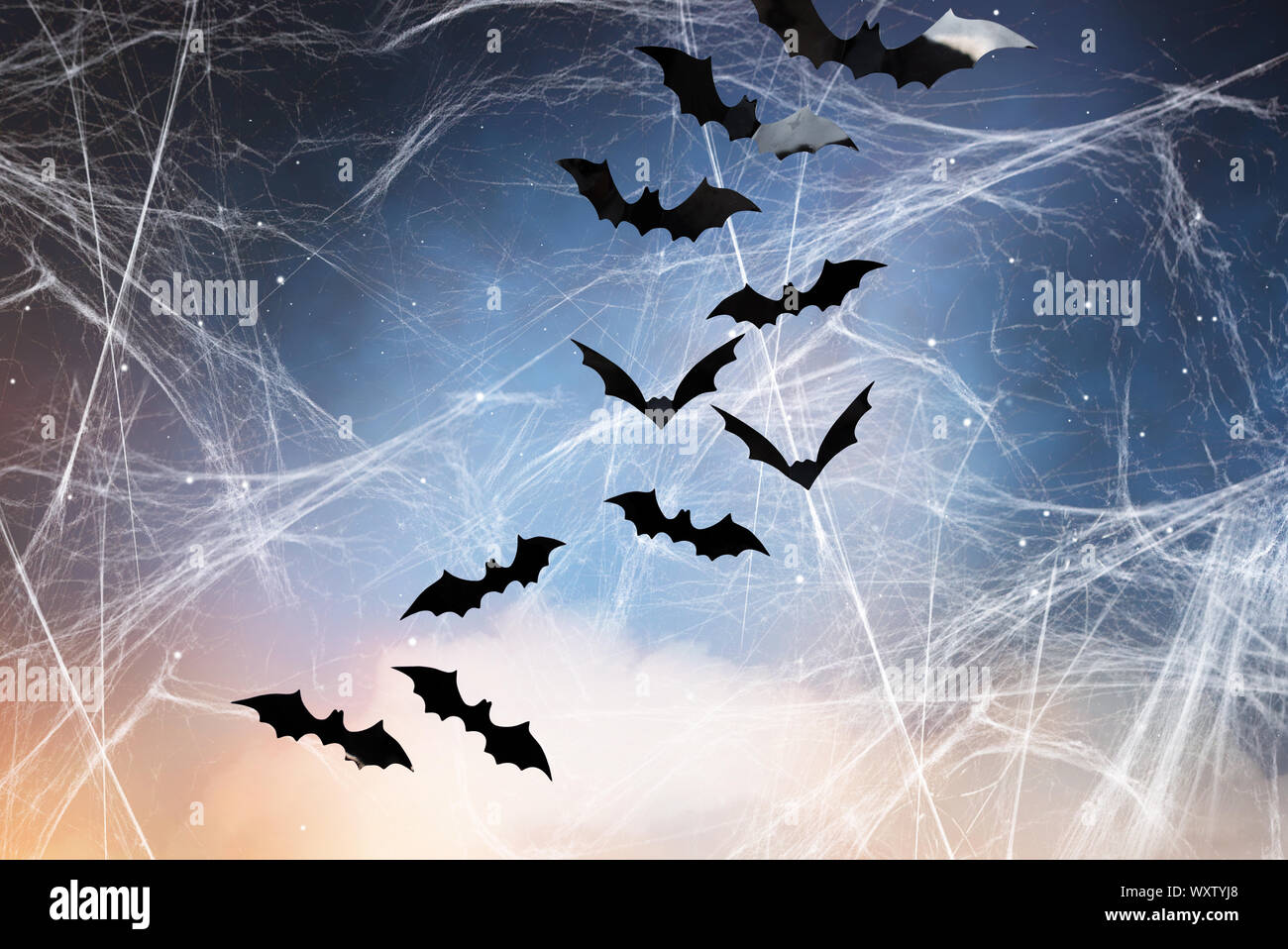 Halloween, Dekoration und beängstigend Konzept - schwarz Fledermäuse über Sternenhimmel und spiderweb Hintergrund fliegen Stockfoto