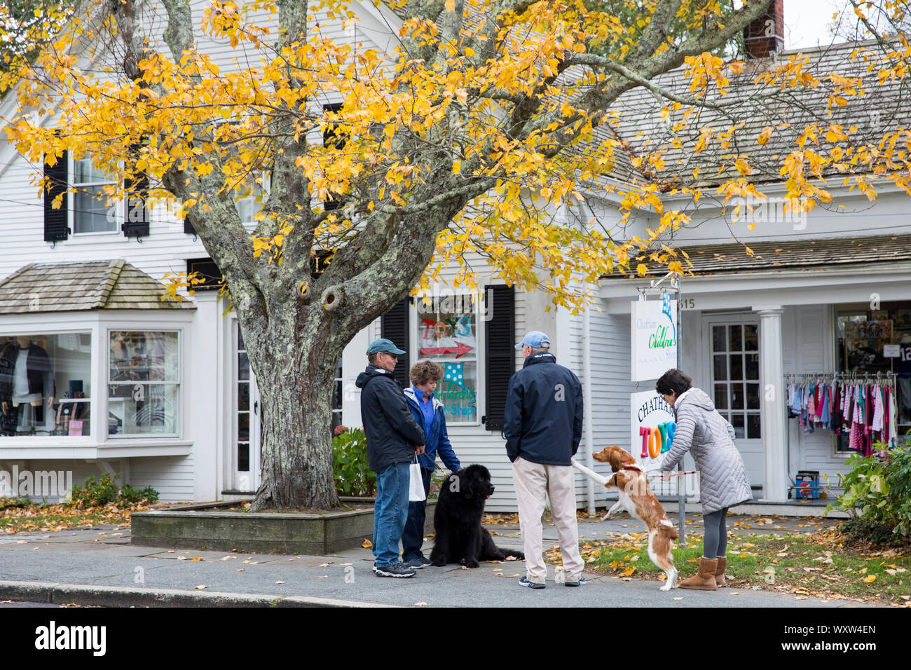 Einheimische aus Hund wandern ihre Haustiere treffen sich für einen Chat entlang der High Street in Chatham, Cape Cod, New England, USA Stockfoto