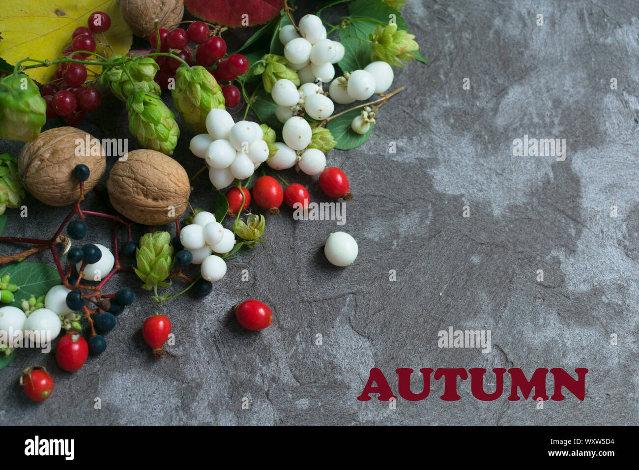Herbst Hintergrund mit gelben und roten Blätter, wilde Beeren, Nüsse. Layout für saisonale Angebote und Urlaub Karten, Ansicht von oben. Kopieren Sie Platz. Stockfoto