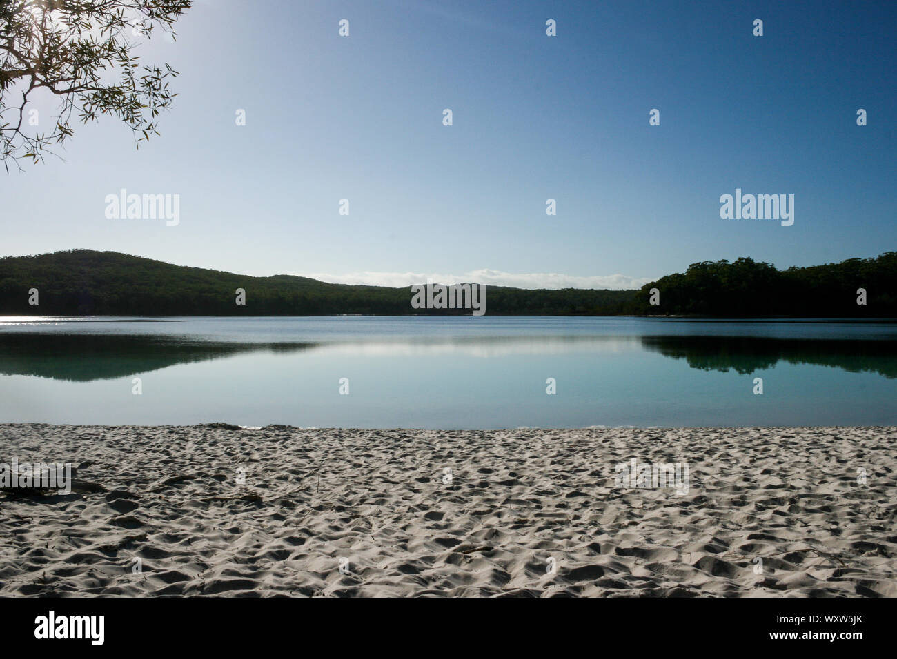 Lake McKenzie, Fraser Island, Queensland, Australien, die größte Sandinsel der Welt Stockfoto