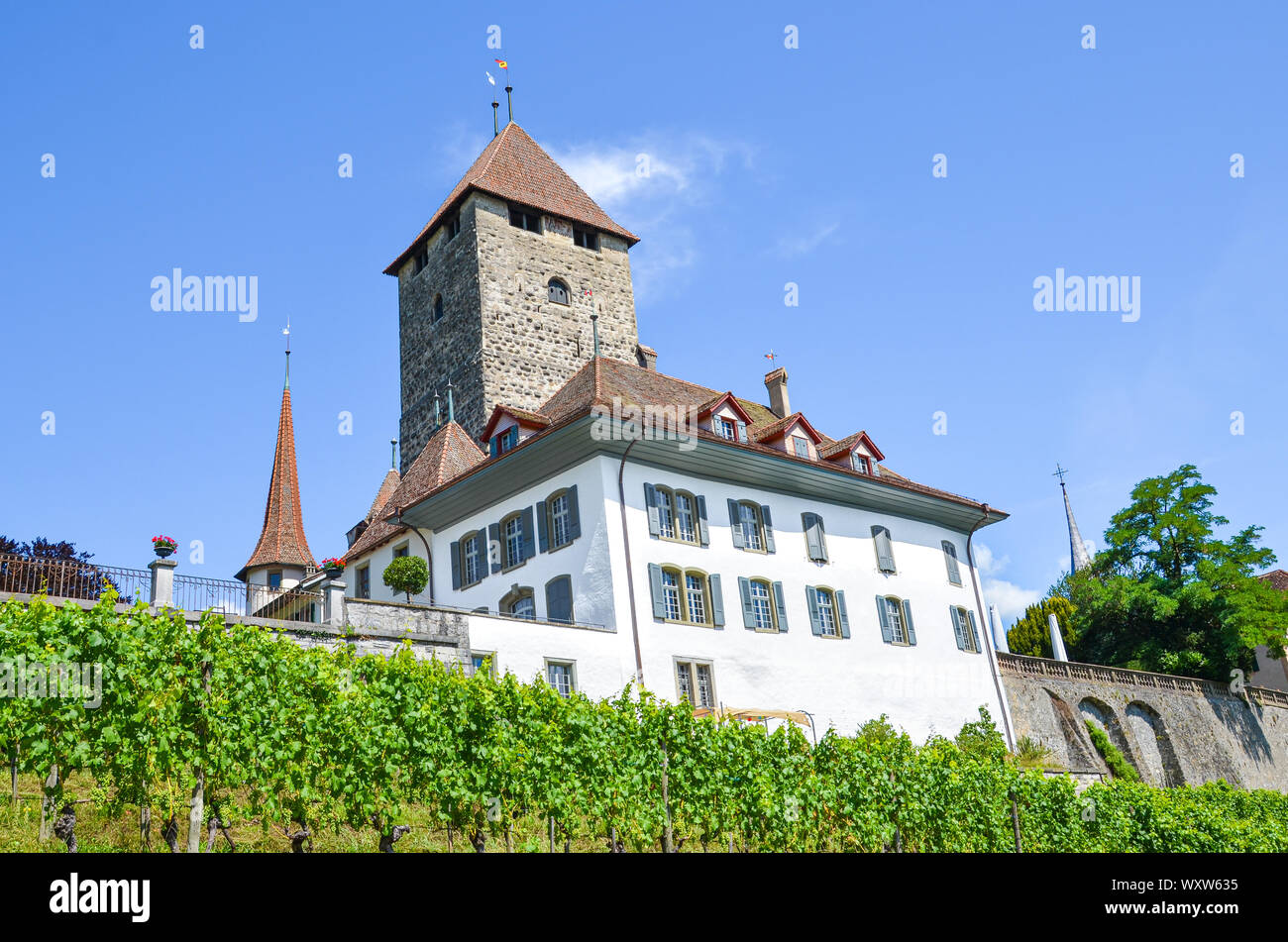 Das historische Gebäude von atemberaubenden Spiez Schloss Spiez, Schweiz. Mittelalterliche Burg, Festung, fort. Schweizer Weltkulturerbe. Schweiz Sommer Ziel. Weinberg auf den angrenzenden Hang. Kultur. Stockfoto
