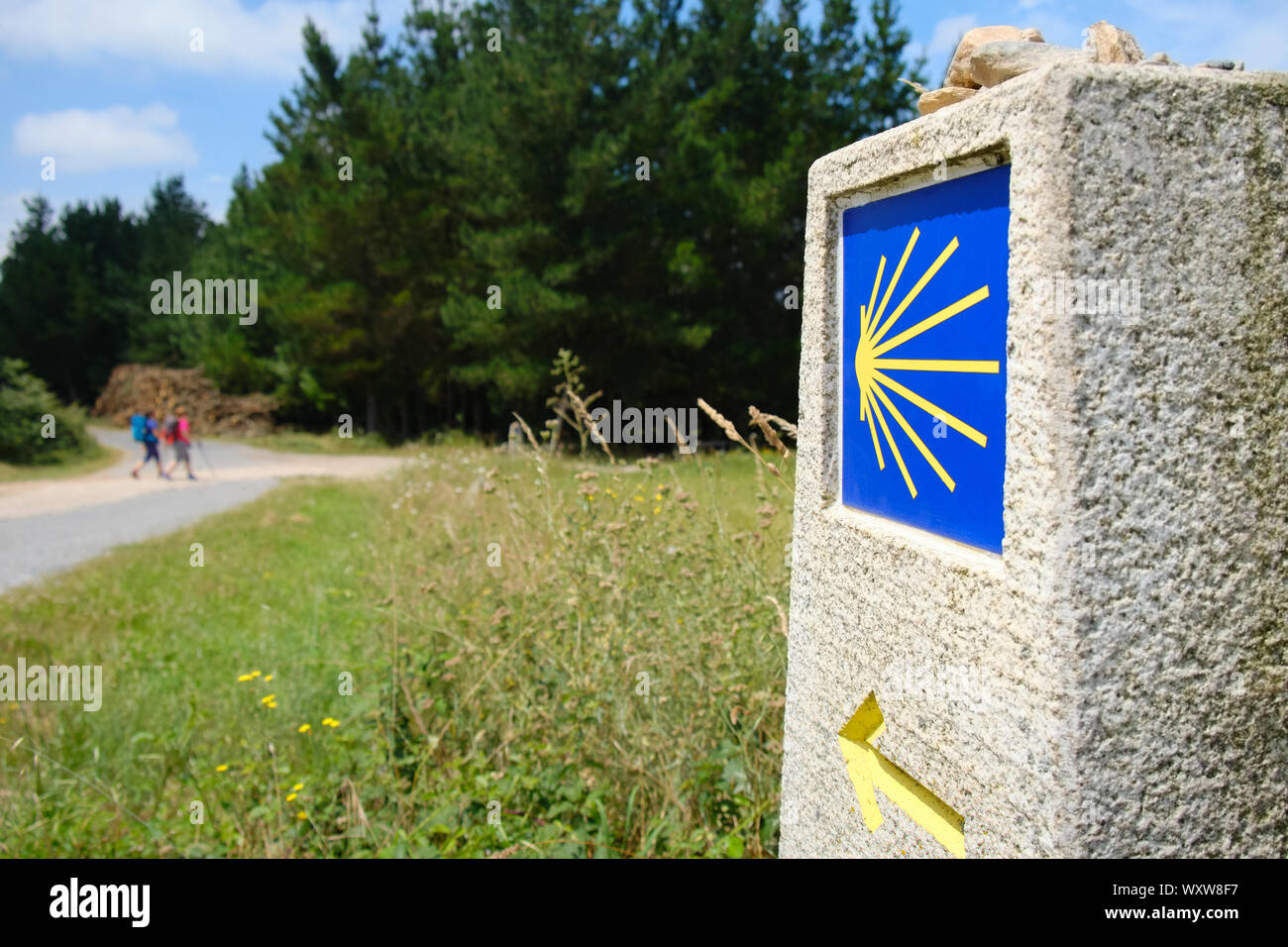 Pilger, die zu Fuß auf einem unbefestigten Pfad in der Nähe von Santiago de Compostela, der spanischen Stadt am Ende des Camino de Santiago oder der Jakobsweg. Familie Wandern auf den ro Stockfoto