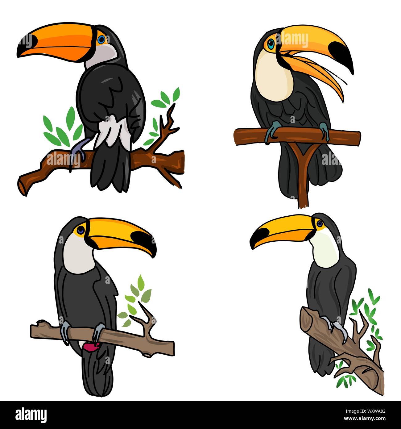 Exotische Vögel toucan. Hand gezeichnet Toucan auf weißem Hintergrund. Vektor einrichten von tropischen Vögeln isoliert auf Weiss. Jungle tropische Vögel schwarze Farbe. Konzept Stock Vektor
