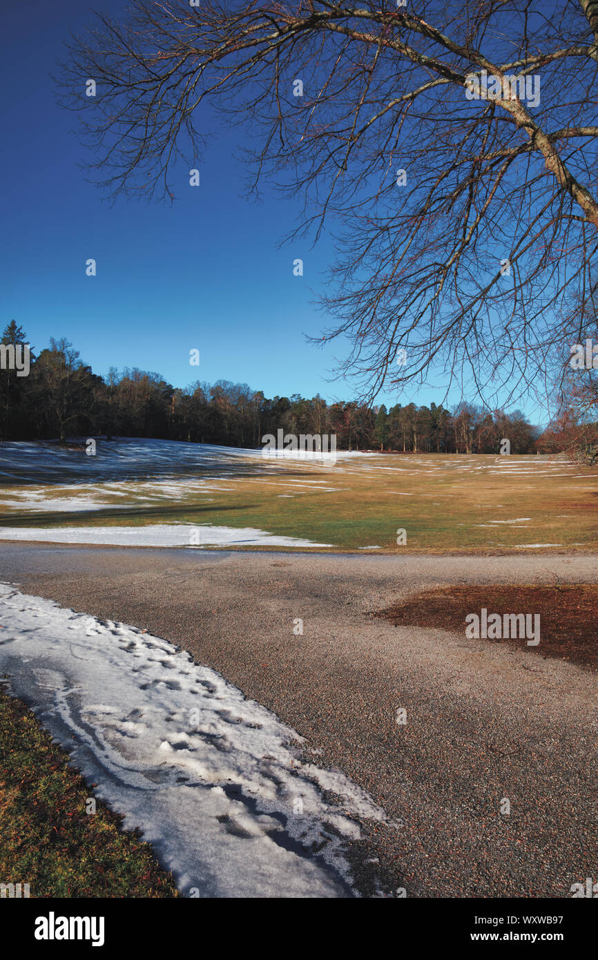 Die große Liegewiese, Hagaparken, Solna, Stockholm, Schweden Stockfoto