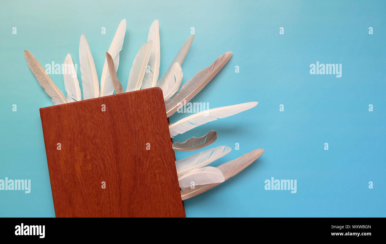 Eine Notiz Buch mit einem hölzernen Deckel, mit weissen und grauen Federn, stößt innerhalb der Notiz Buch. Stockfoto