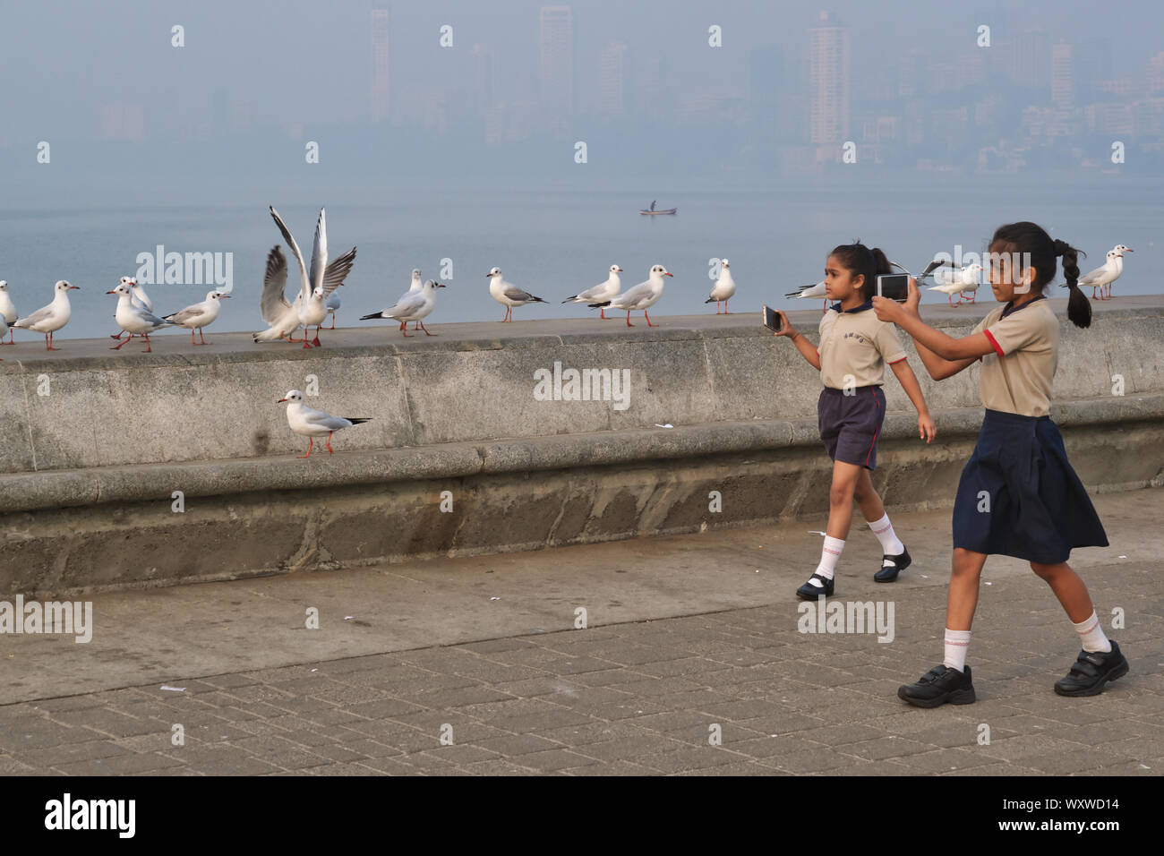 Zwei Mädchen in der Schule Kleid mit ihren Handys filmen Sibirische Zugvögel Möwen im Winter Haze & Verschmutzung an der Marine Drive, Mumbai, Indien Stockfoto