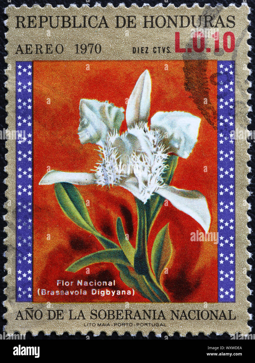 Nationale Blume von Honduras auf Briefmarke Stockfoto