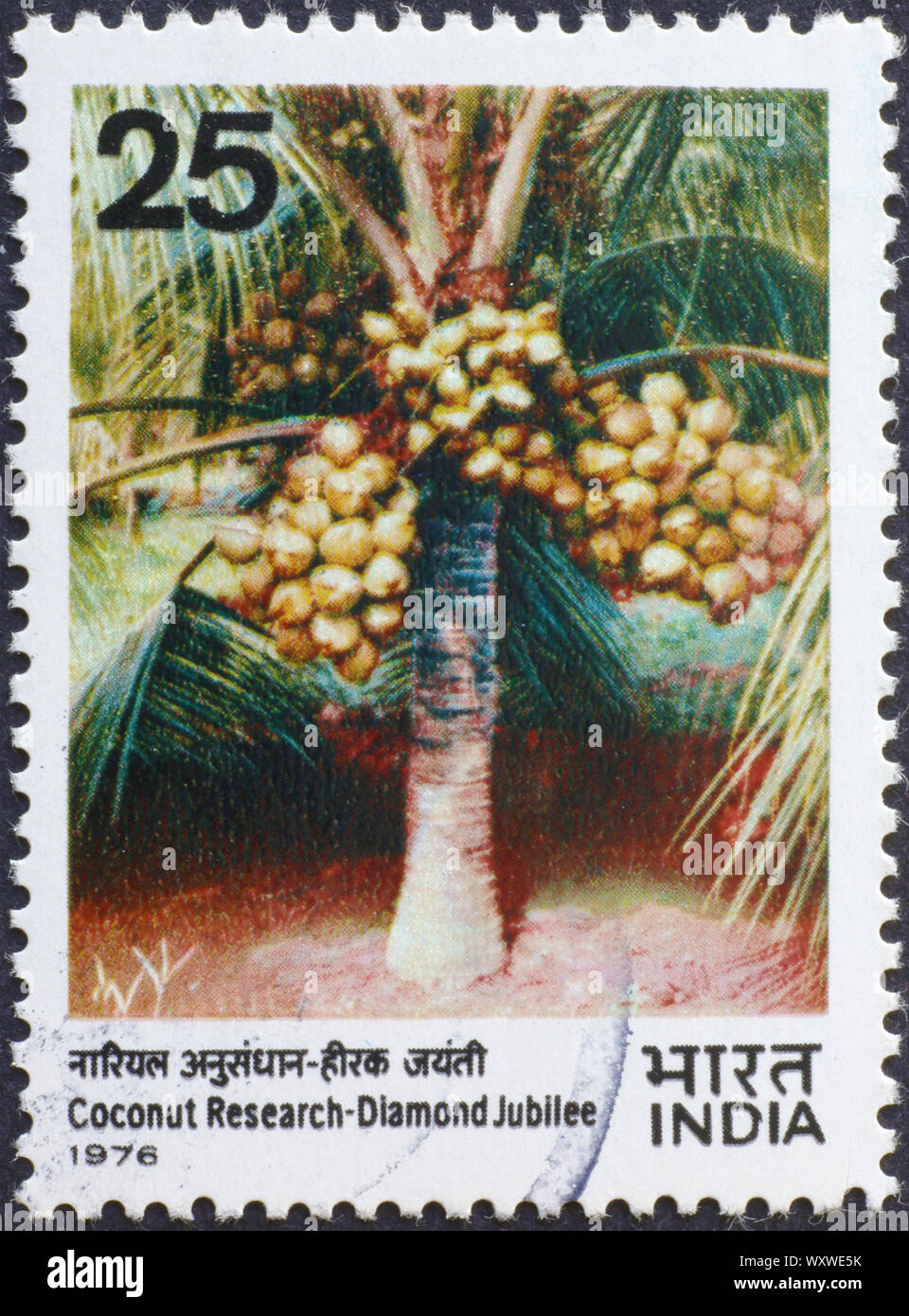 Coconut Palm auf indischen Briefmarke Stockfoto