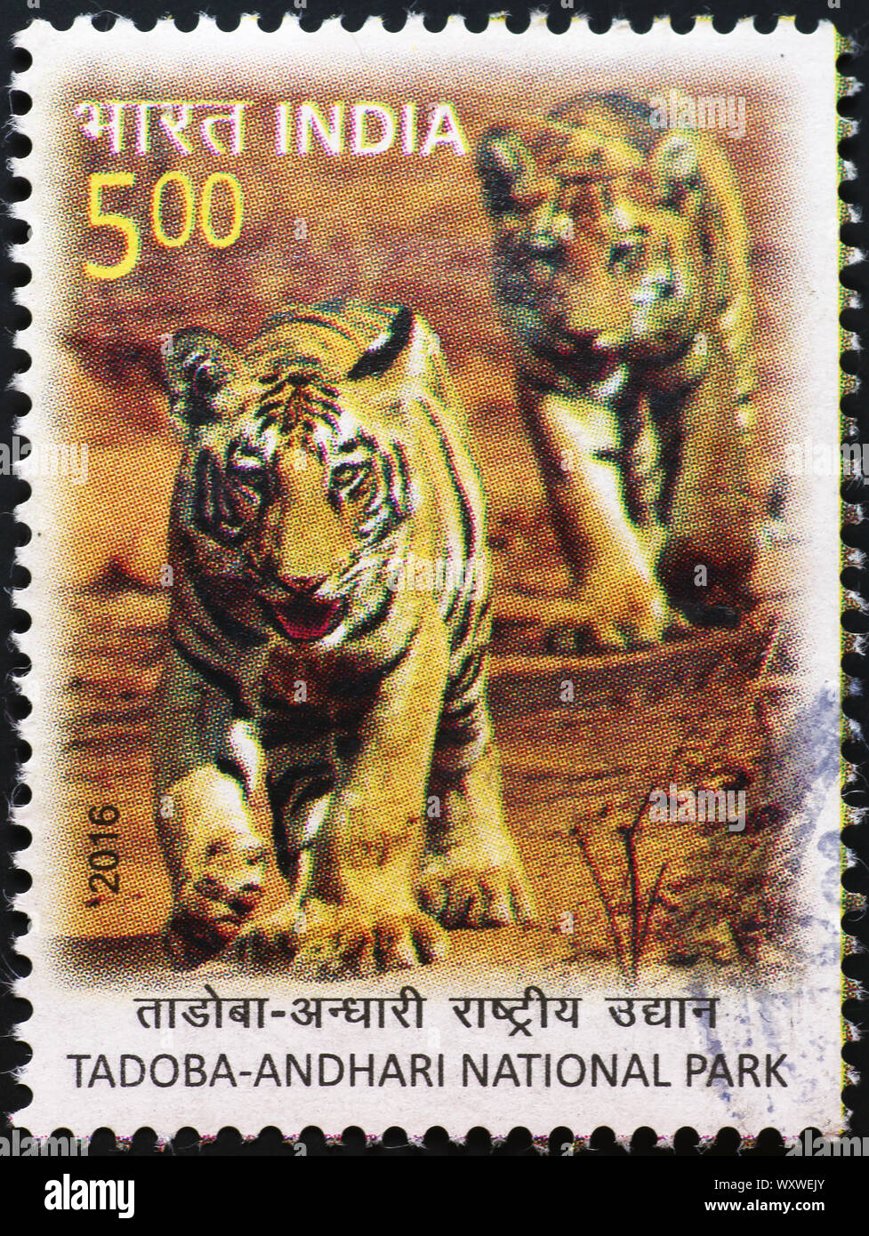 Zwei tiger Cubs auf indischen Briefmarke Stockfoto