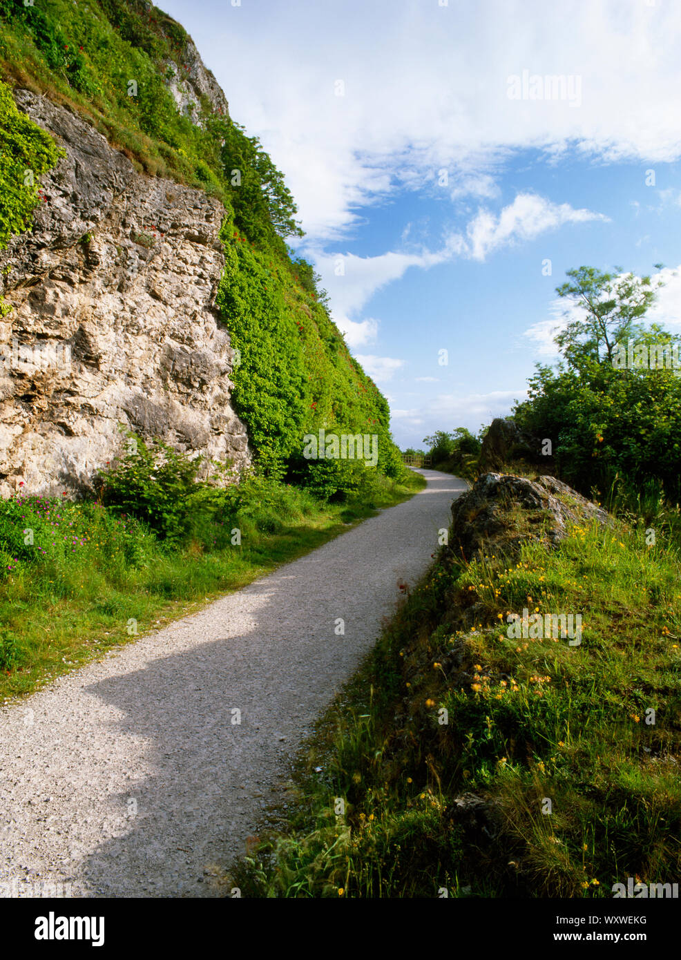 Suchen South West entlang der Prestatyn - Dyserth, ein Fußweg und Radweg über dem Bett des stillgelegten Prestatyn und Dyserth Bahnstrecke. Stockfoto