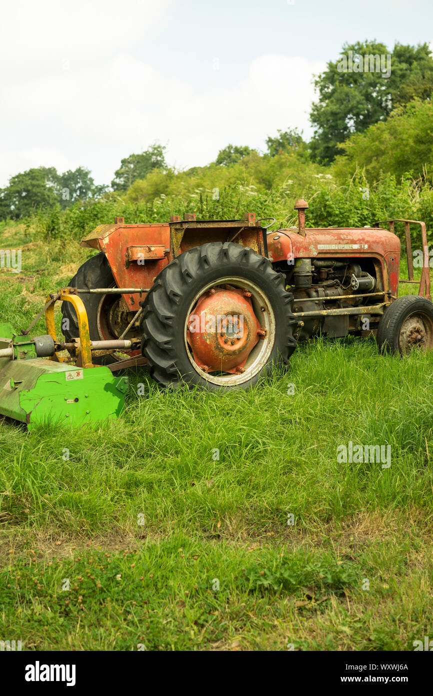 Vintage Massey-Ferguson 35X Traktor mit Gras Schneidgerät, Somerset, England, UK. Stockfoto
