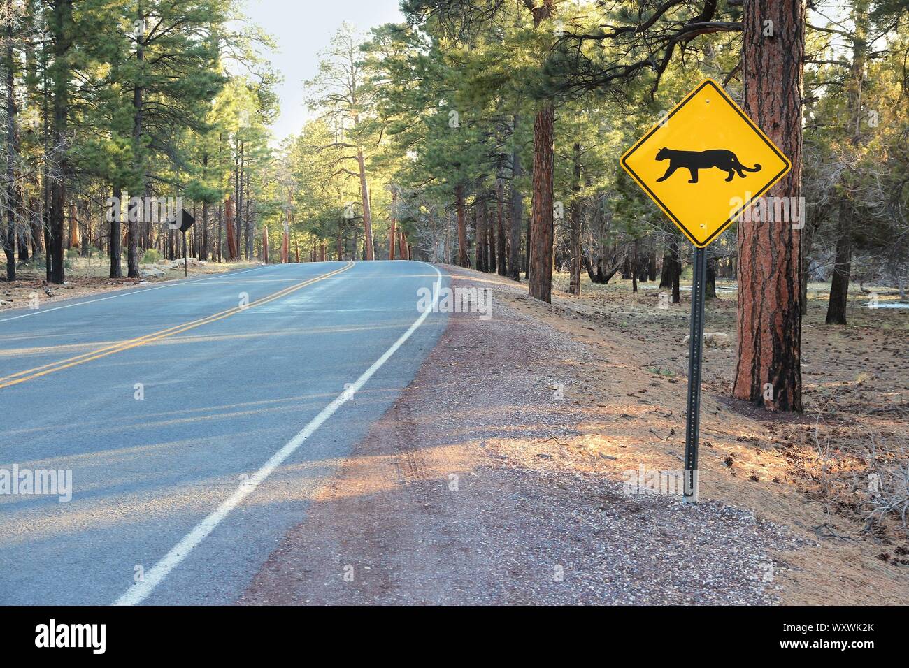 Grand Canyon National Park - Road Sign mit Cougar Warnung. Stockfoto