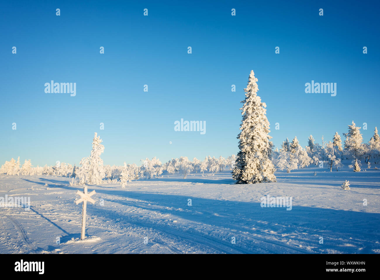 Verschneite Landschaft, gefrorene Bäume im Winter in Saariselka, Lappland, Finnland Stockfoto