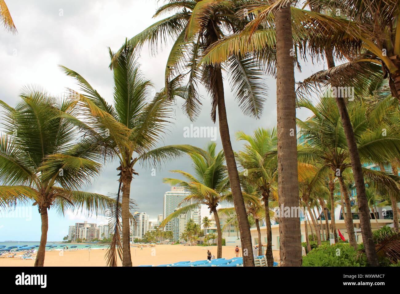 Blick auf die Condado öffentlichen Strand und San Juan Marriott Resort Beachfront Hotel, Ashford Avenue, Puerto Rico. Stockfoto