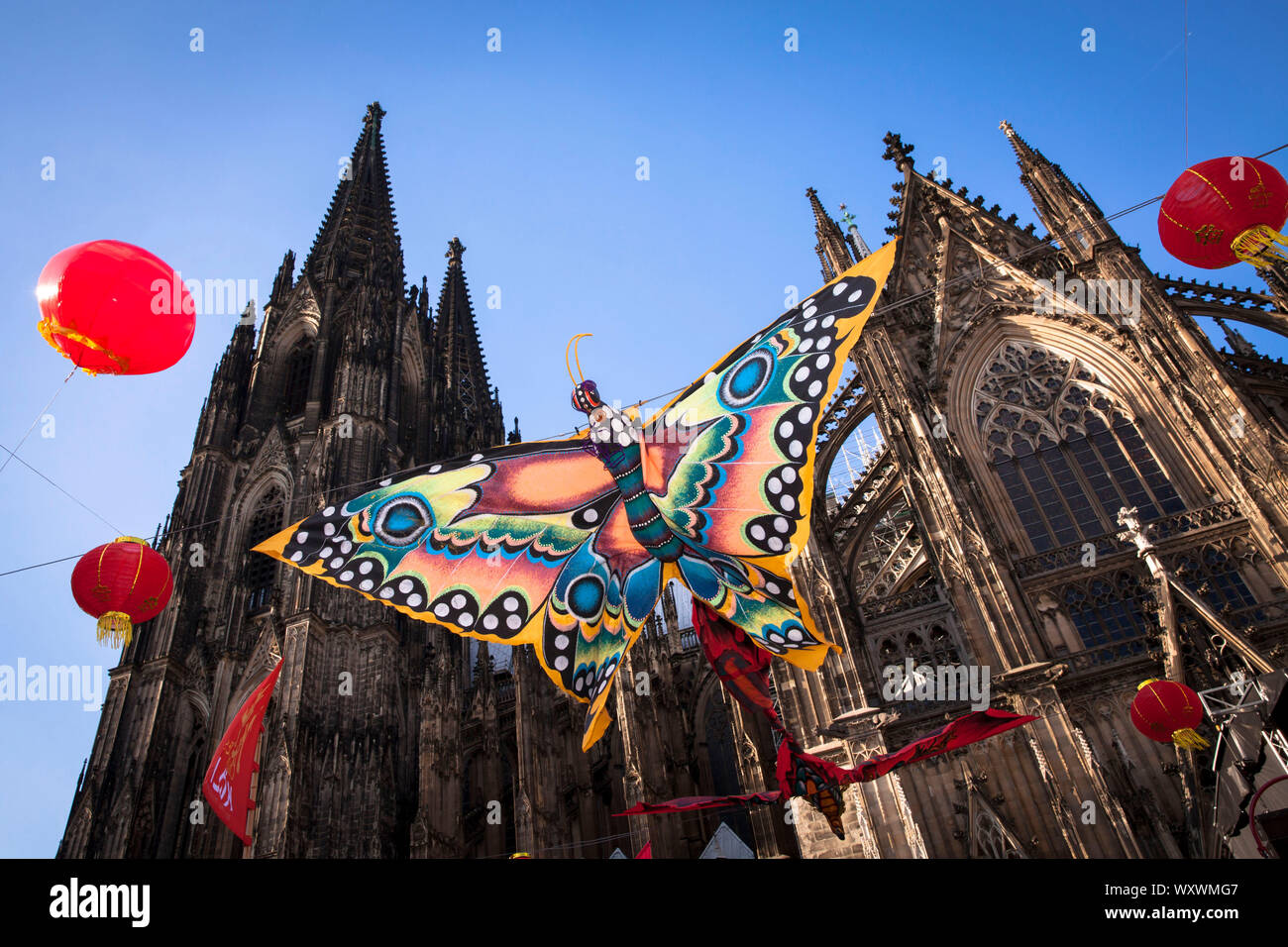 China Festival auf Roncalli Platz an der Kathedrale, Schmetterling als  Dekoration, Köln, Deutschland. Chinafest auf dem Roncalliplatz am Dom,  Schmetterling Stockfotografie - Alamy